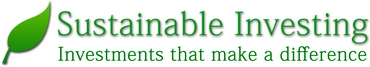 Sustainable Investment